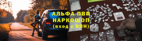 скорость Вяземский
