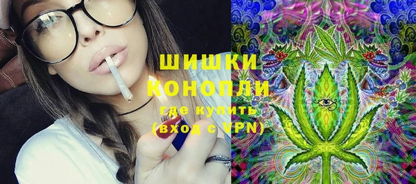 стафф Вязьма