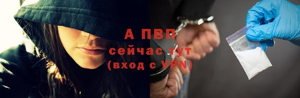 скорость Вяземский