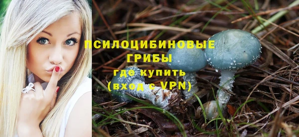 скорость Вяземский