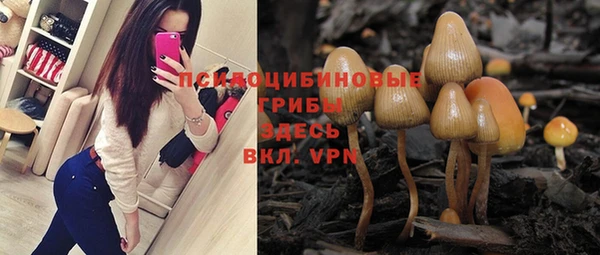скорость Вяземский