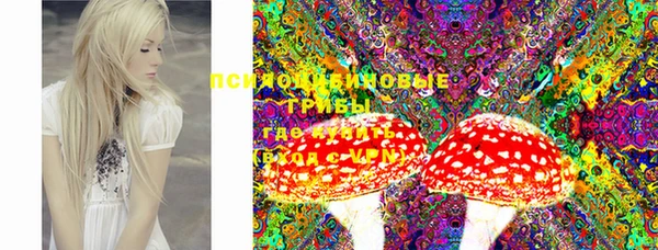 скорость Вяземский