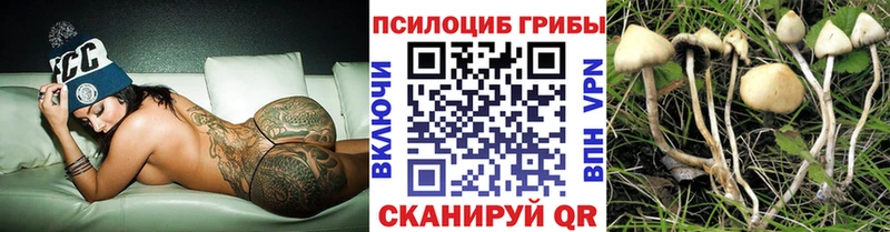 Галлюциногенные грибы мицелий Змеиногорск